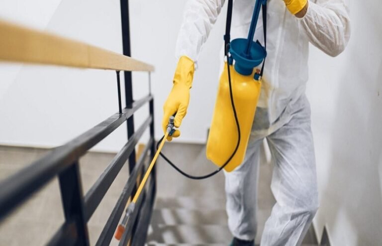 Defending Your Living Spaces against Pests: A Guide on Pest Control ...