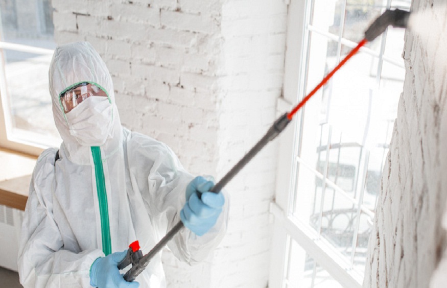 Mold Remediation in Jackson