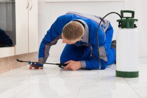 pest control