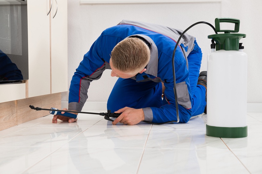 pest control