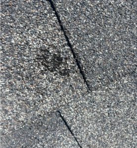 Denver roofing contractor