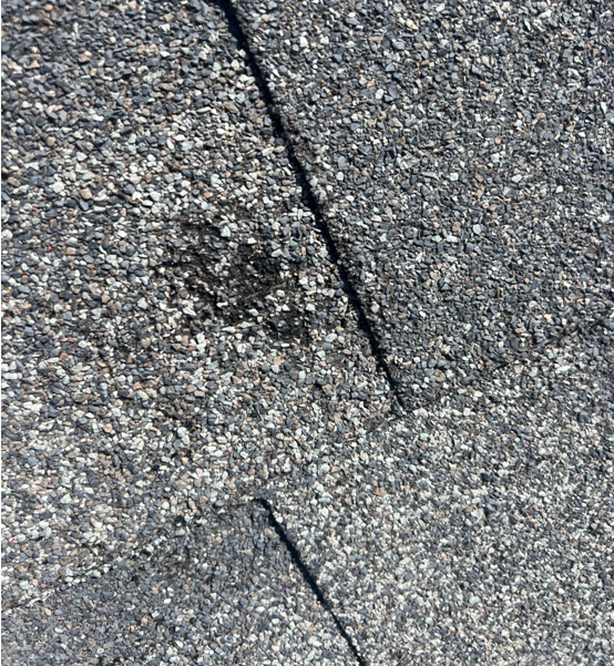 Denver roofing contractor