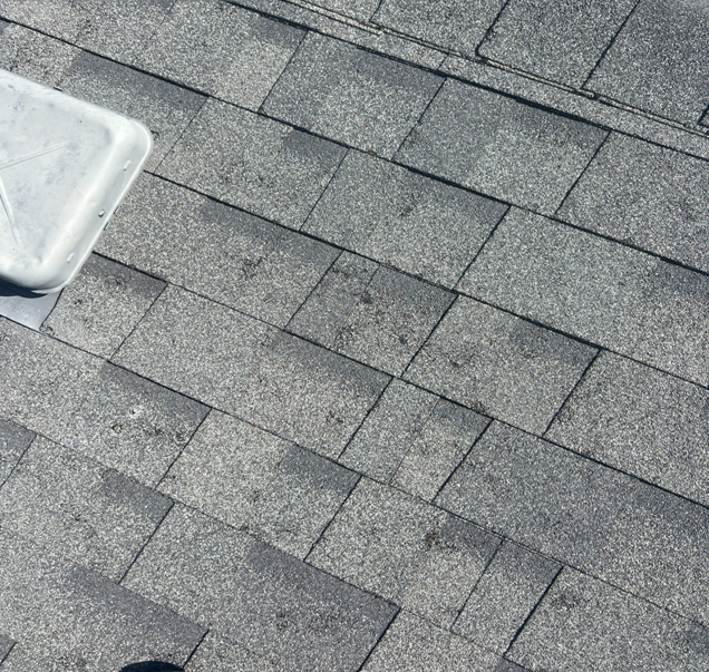 roof insurance claims in Denver